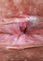 ATK Exotics: Satine Summers (Satine Summers in a black and white dress)