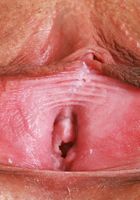 ATK Petites: Satine Summers (Satine Summers Outdoor Stripping)