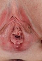 ATK Galleria: Scarlett Minx (Scarlett Minx in upskirts and panties)