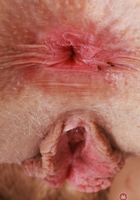 ATK Galleria: Scarlet Skies (Scarlet Skies Spreads)