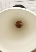 ATK Exotics: Selma (Selma in latinas)