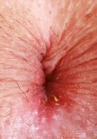 ATK Galleria: Selina Bentz (Selina Bentz Dress Striptease)