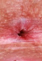 ATK Petites: Selina Imai (Selina Imai hopes she can grab your attention)