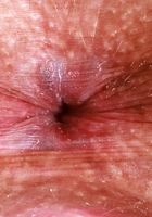 ATK Exotics: Selina Imai (Selina Imai thinks her bikini isn't small enough)