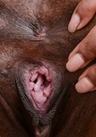 ATK Petites: September Reign (September Reign in black women)