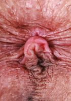 ATK Galleria: Serena Hill (Serena Hill hopes you like what you see)