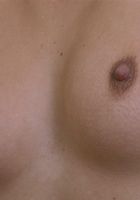 ATK Petites: Sherri (Sherri in latinas)