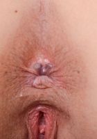 ATK Galleria: Shae Celestine (Shae Celestine upskirt fun)