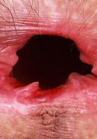 ATK Petites: Sia Wood (Sia Wood in pajamas and pigtails)