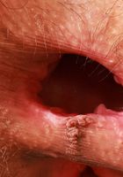 ATK Natural & Hairy: Sia Wood (Sia Wood is the queen of hairiness)