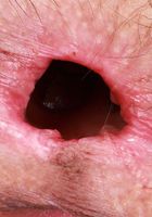 ATK Natural & Hairy: Sia Wood (Sia Wood Hot Gaping Asshole)