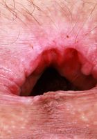 ATK Petites: Sia Wood (Sia Wood Stripping and Gaping)