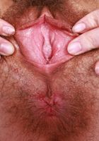 ATK Petites: Sia Wood (Sia Wood Skirt Stripping)