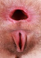 ATK Petites: Sia Wood (Sia Wood Skirt Stripping)