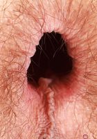 ATK Petites: Sia Wood (Sia Wood Strips & Gapes her Ass)