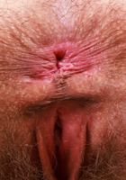 ATK Petites: Sia Wood (Sia Wood is wearing the shirt that says it all)