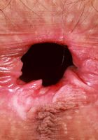 ATK Petites: Sia Wood (Sia Wood is wearing the shirt that says it all)