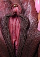 Sindell Angel from ATK Exotics