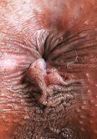 ATK Exotics: Sizi Sev (Sizi Sev Sexy Lingerie)