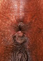 ATK Exotics: Sizi Sev (Sizi sports her sexiest lingerie)