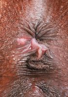 ATK Exotics: Sizi Sev (Sizi Sev Panties Off Exotic Pussy Spreading)