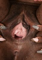 ATK Exotics: Skyy Dreams (Skyy Dreams in black women)