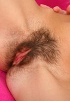 ATK Archives: Sofia (Sofia in)