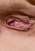 ATK Exotics: Jasmine Lynn (No peeking!)