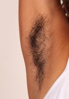 ATK Exotics: Sonya (Sonya is a hairy hottie)