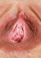 ATK Galleria: Sonia Sparrow (Sonia Sparrow Spreads her Holes)