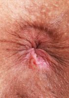 ATK Petites: Sonia Sparrow (Sonia Sparrow Outdoors Spreads)