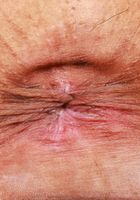 ATK Exotics: Sona Bella (Sona Bella is looking adorable in blue)