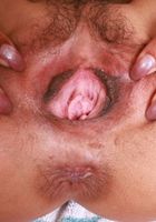 Sona Bella from ATK Exotics