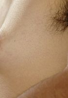 ATK Exotics: Sophia (Sophia in latinas)