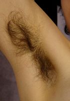 ATK Exotics: Sophia (Sophia in latinas)