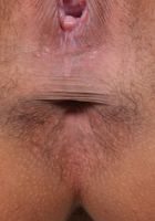 ATK Exotics: Sophia Leone (Sophia Leone Flashes You a Bit of Skin)