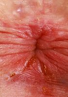 ATK Petites: Stephanie Gwen (Stephanie Gwen Outdoor Nudity)