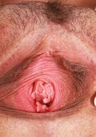 ATK Petites: Summer Vixen (Summer Vixen Outdoor Spreading)