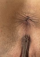 Summer Vixen from ATK Galleria