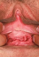 Summer Vixen from ATK Petites