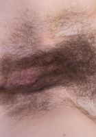 ATK Natural & Hairy: Sunshine (Sunshine showing her lady fur.)