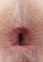 Lily Moon from ATK Petites