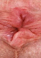 ATK Galleria: Sydney Paige (Sydney Paige Mature Pussy Spreads)