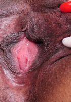 ATK Exotics: Tahyti (Black model Tayhiti makes her debut)