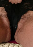 ATK Exotics: Tammi (Tammi in mediterranean)