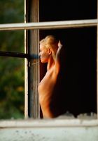 ATK Premium: Taylor (Taylor in artistic)