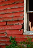 ATK Premium: Taylor (Taylor in artistic)