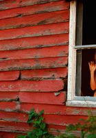 ATK Premium: Taylor (Taylor in artistic)