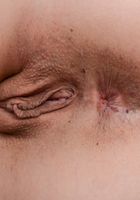 ATK Exotics: Taylor Reed (Taylor Reed Hot Spreads)