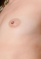 ATK Exotics: Taylor Reed (Another great set full of close ups, thanks to Taylor Reed)